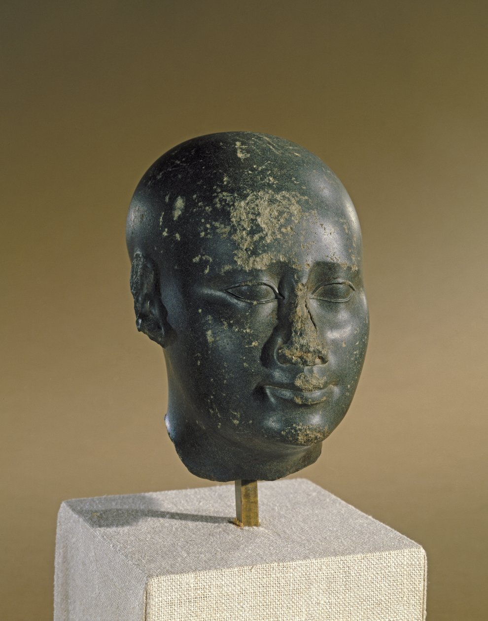 Tojás alakú koponyájú férfi feje (bazalt) alkotó: Late Period Egyptian