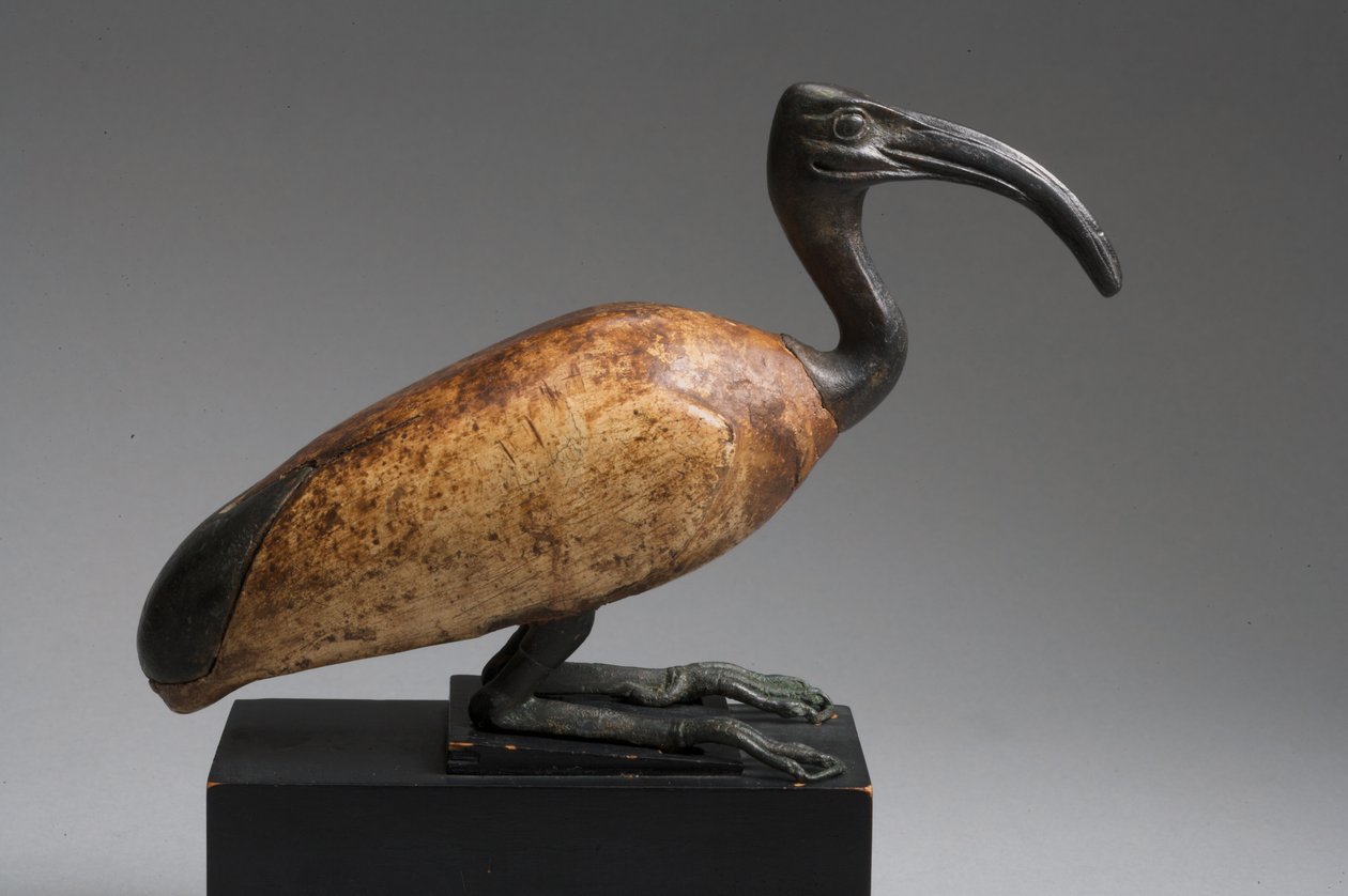 Ibis (bronz és fa) alkotó: Late Period Egyptian