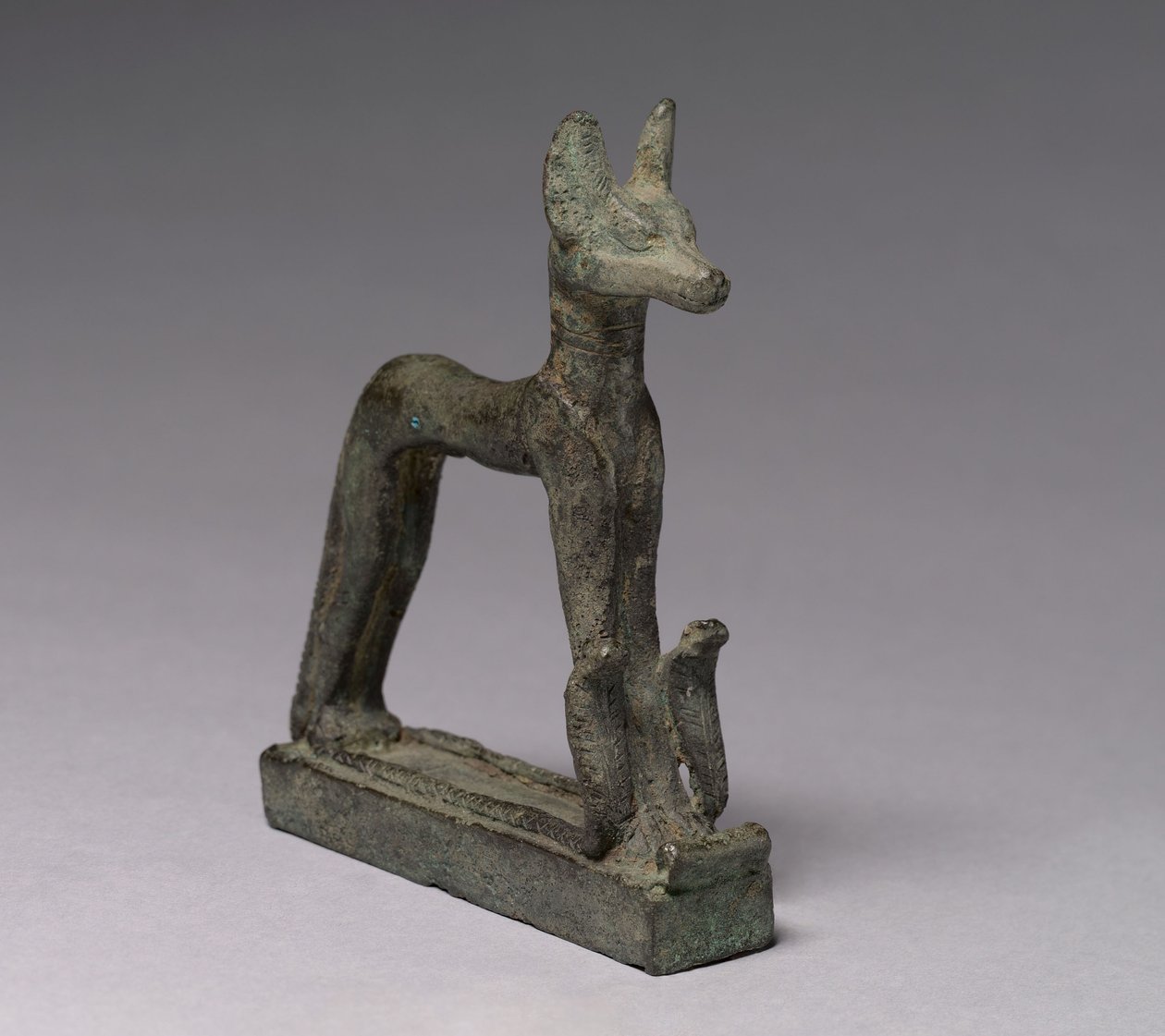 Sakál, ie 664-30 alkotó: Late Period Egyptian