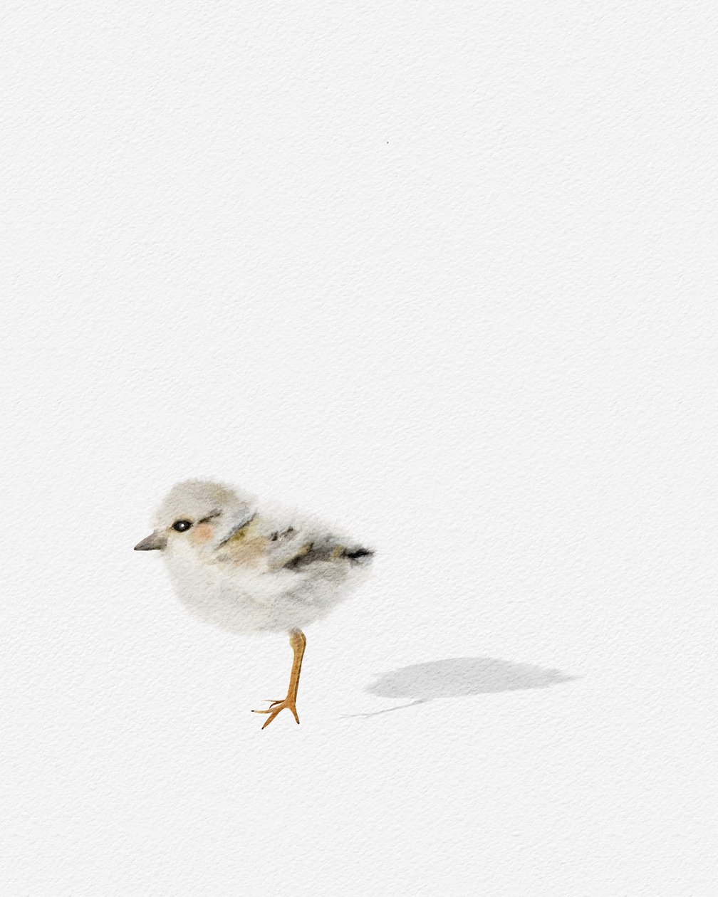 Shorebird, 2021 körül (vegyes technika) alkotó: Leah Straatsma