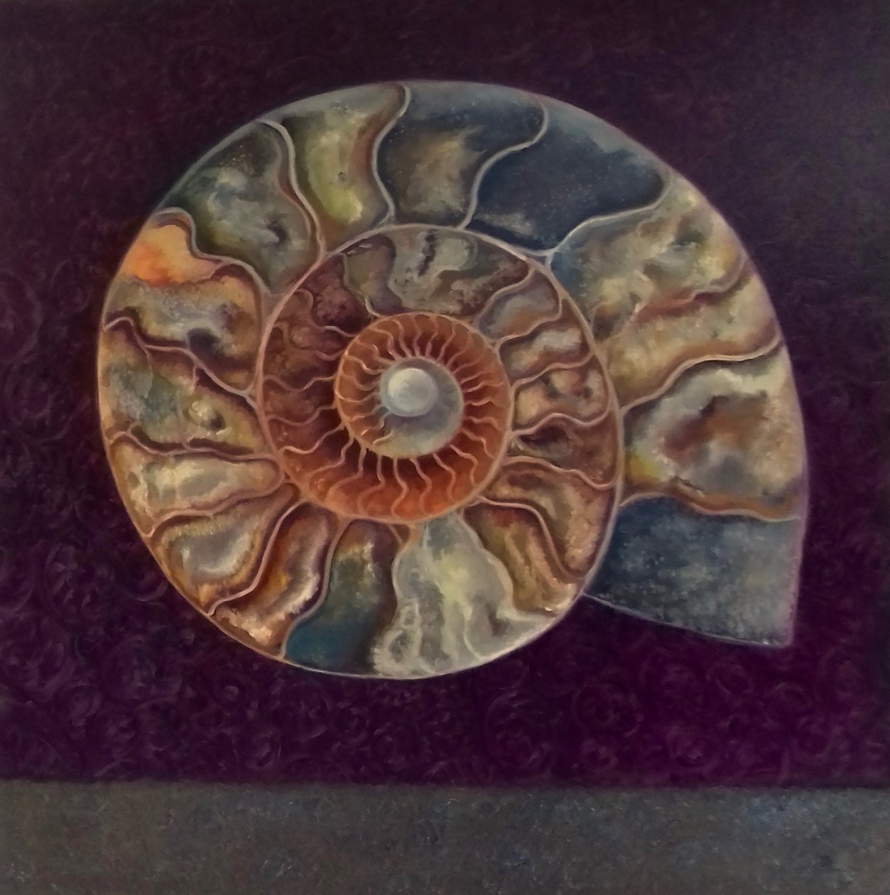 Ammonite, Magenta, 2021 alkotó: Lee Campbell