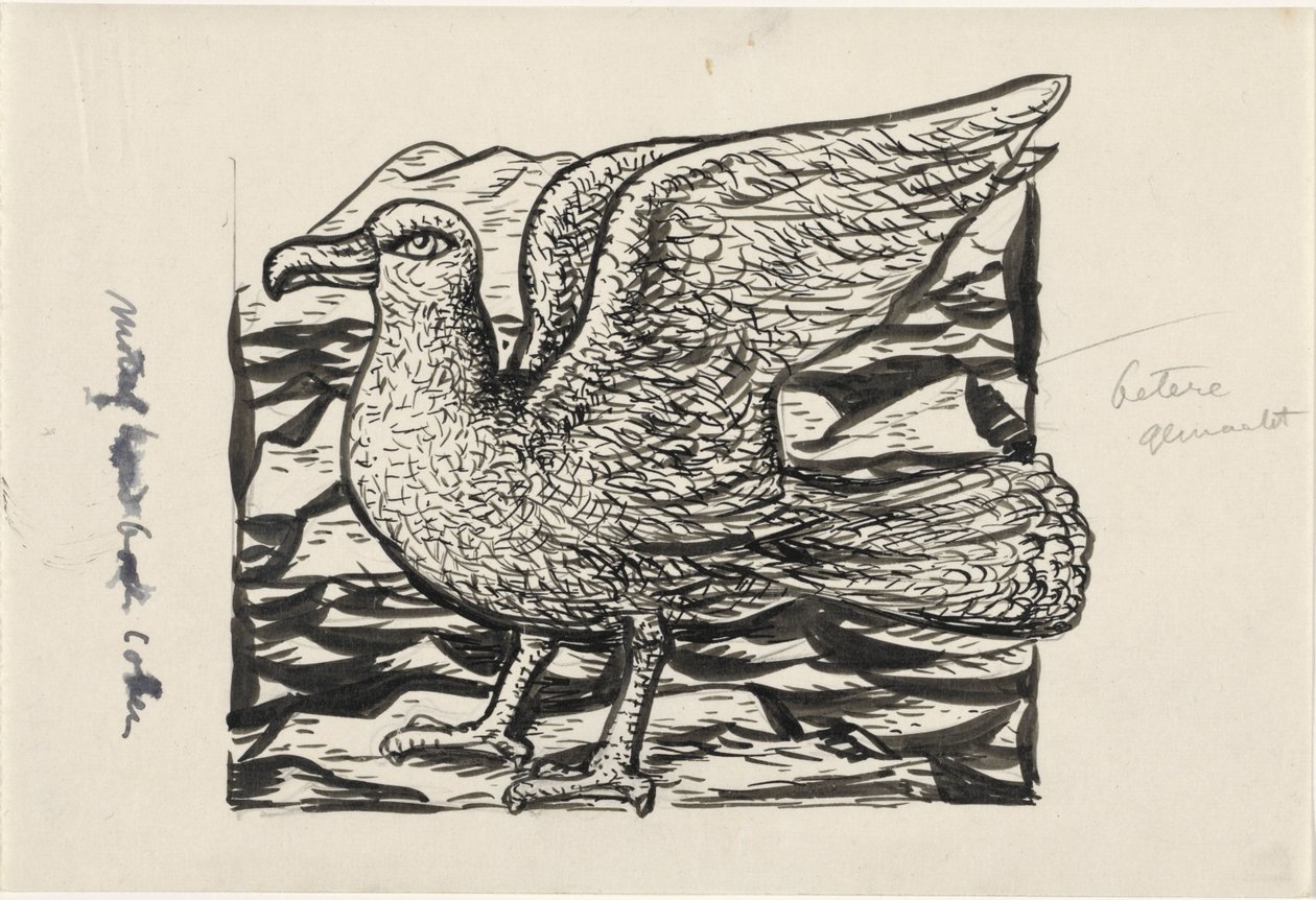 sirály alkotó: Leo Gestel