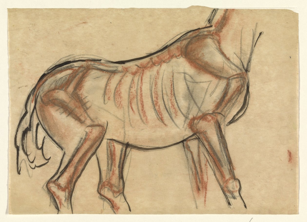 Egy ló csontváza alkotó: Leo Gestel