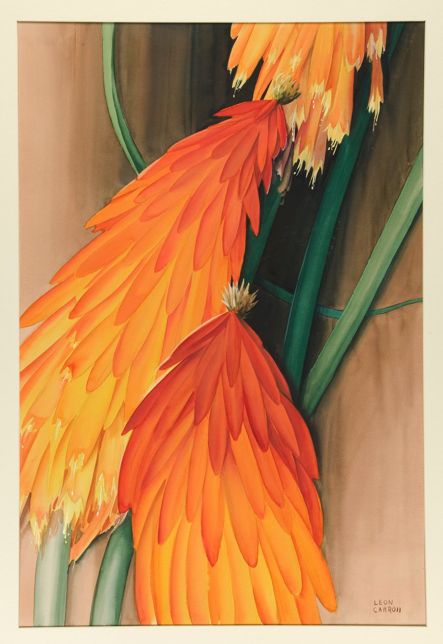 Skyrocket (Red Hot Poker) alkotó: Leon Carroll