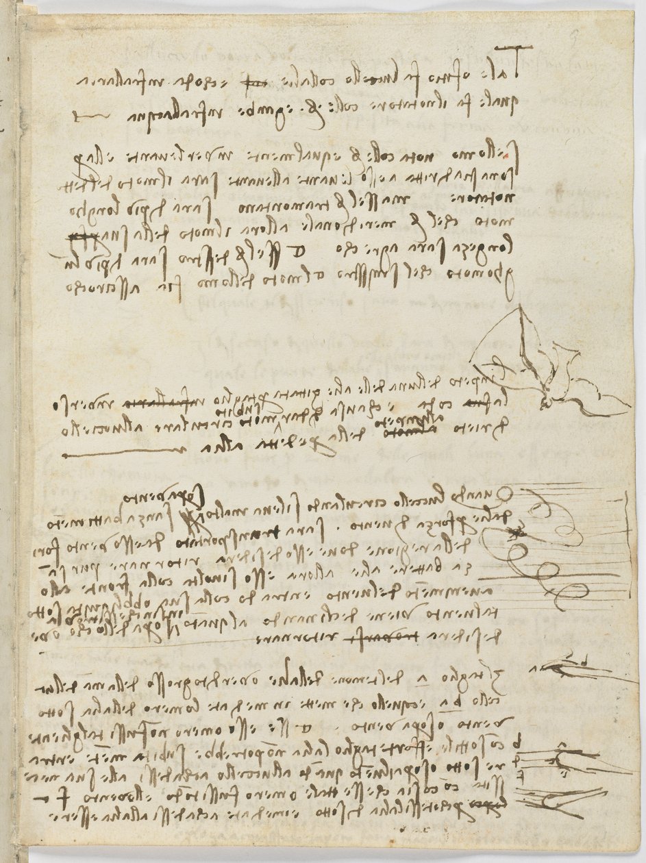 Birds Flight Code, c. 1505-06, papír kézirat, cc. 18, lap 10 recto alkotó: Leonardo da Vinci