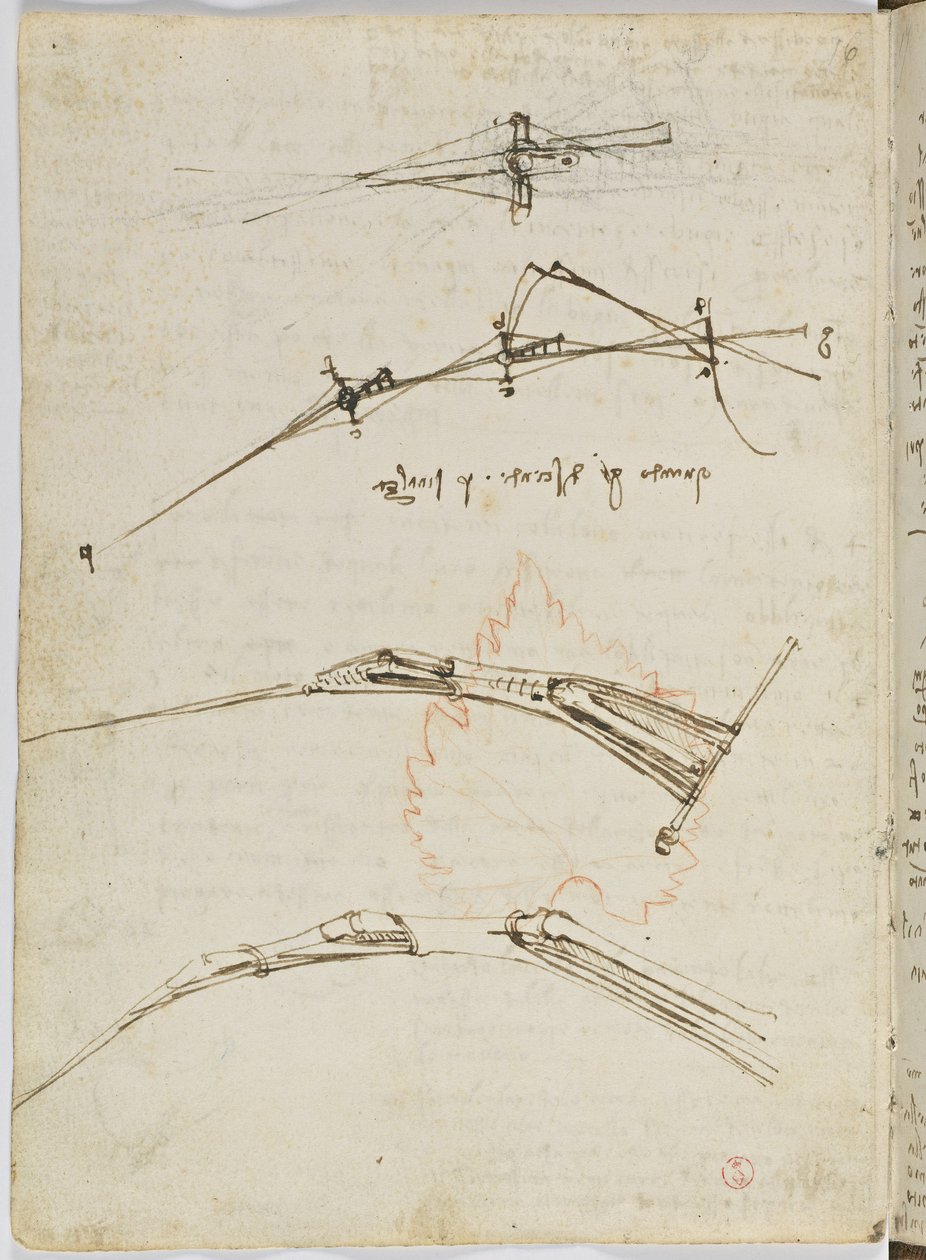 Birds Flight Code, c. 1505-06, papír kézirat, cc. 18, lap 11 verso alkotó: Leonardo da Vinci