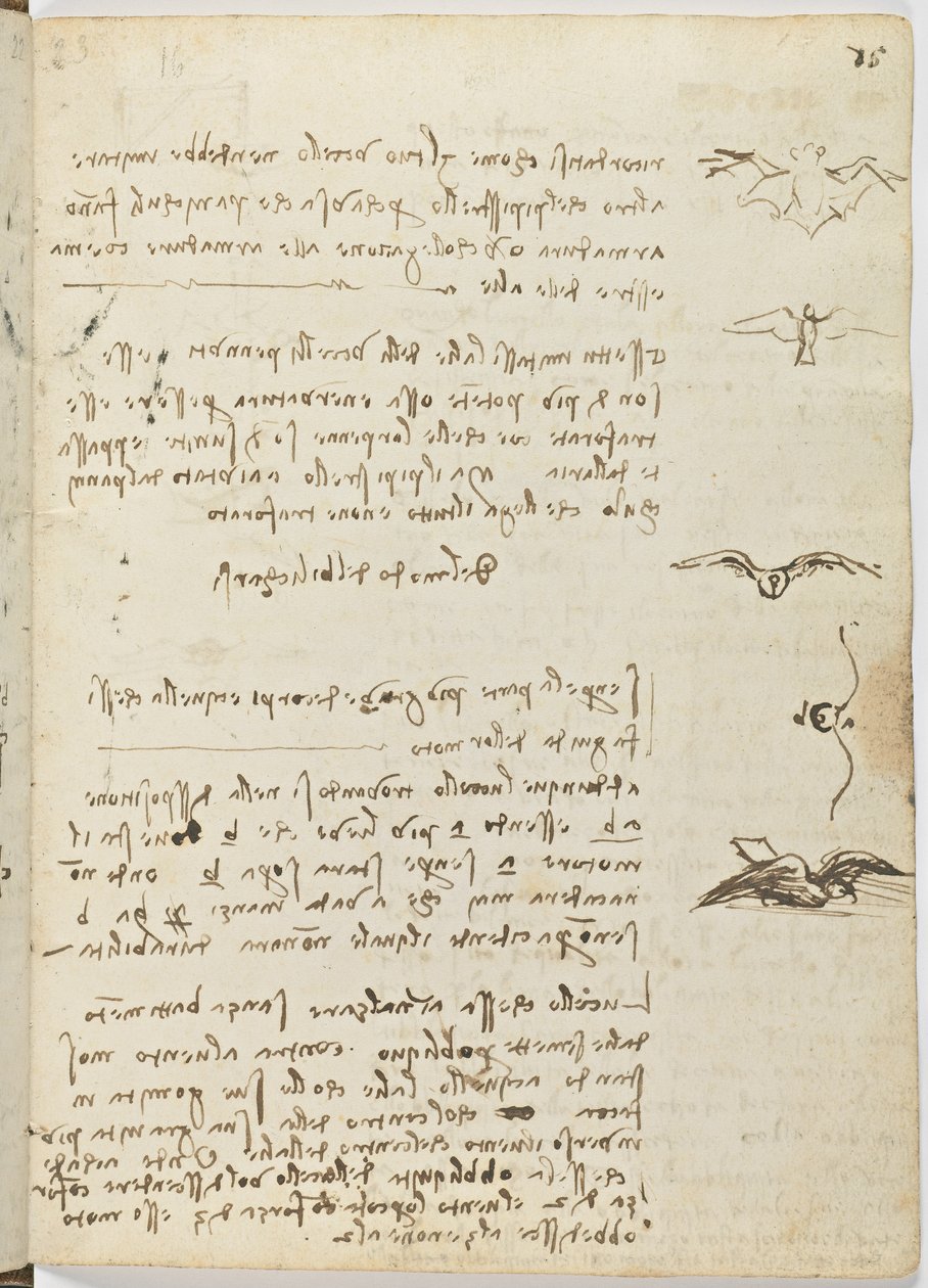 Birds Flight Code, c. 1505-06, papír kézirat, cc. 18, lap 15 recto alkotó: Leonardo da Vinci