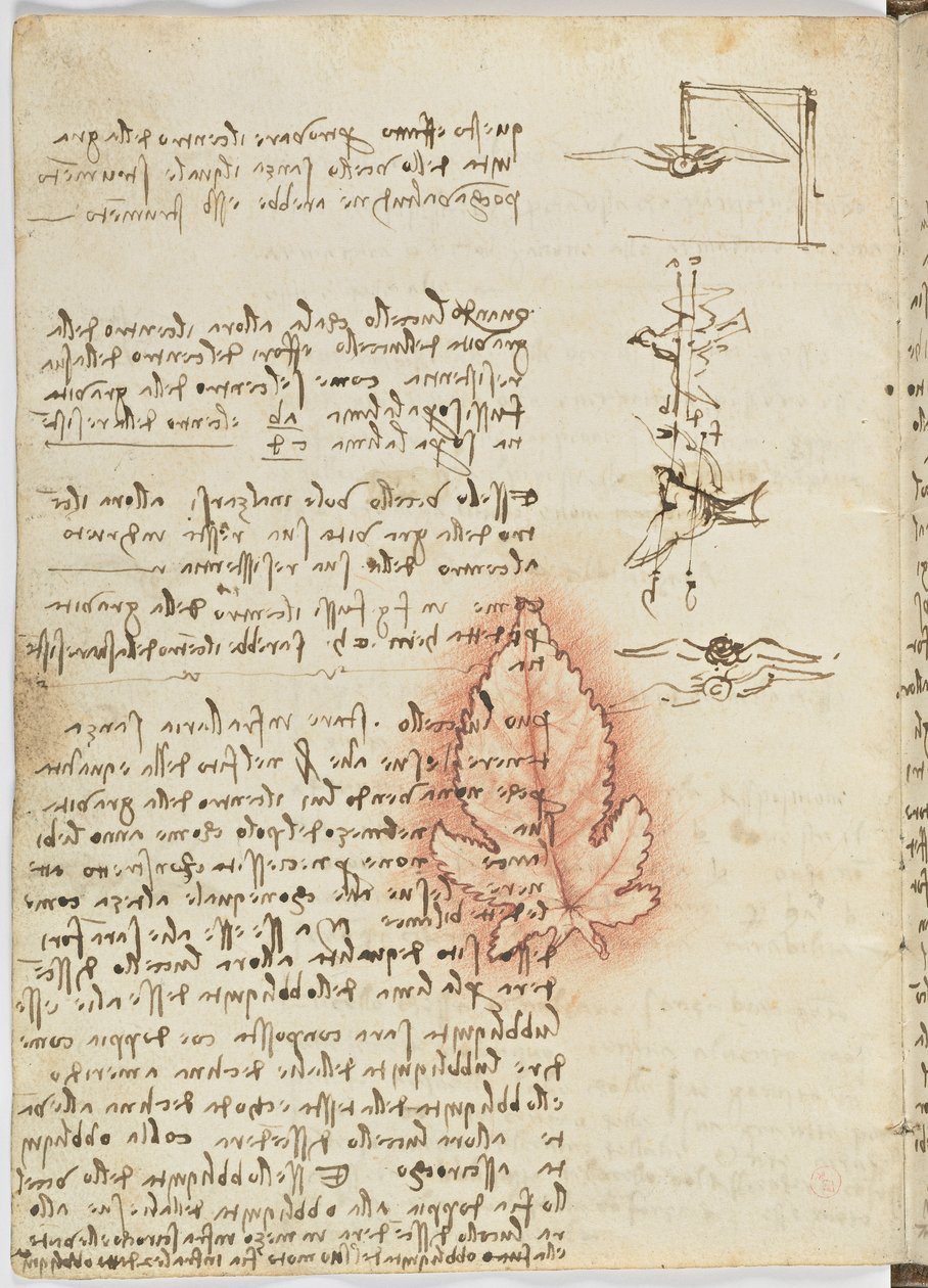 Birds Flight Code, c. 1505-06, papír kézirat, cc. 18, lap 15 verso alkotó: Leonardo da Vinci