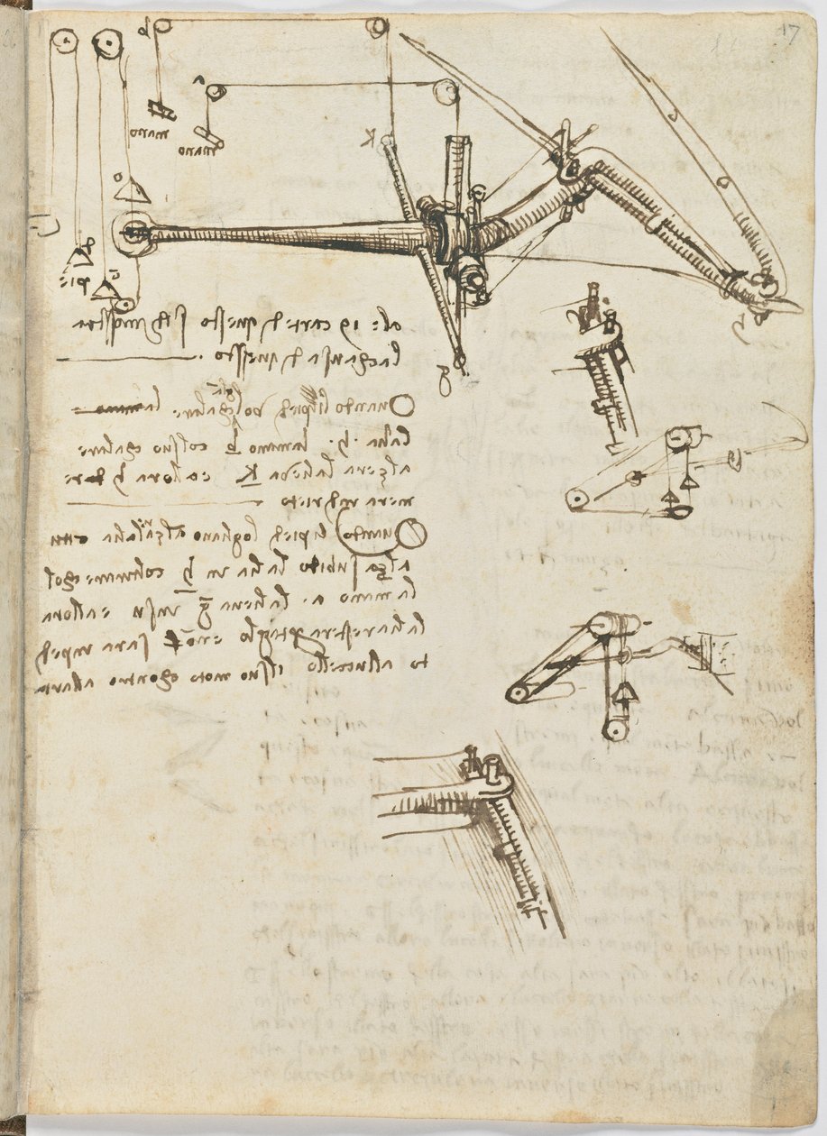 Madarak repülési szabályzata, 1505-06 körül, papír kézirat, cc. 18, 17. lap recto alkotó: Leonardo da Vinci