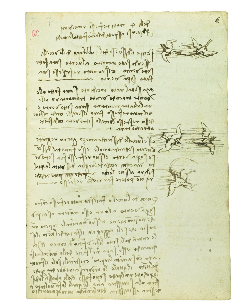 Kódex a madarak repüléséről, Folio 6 recto alkotó: Leonardo da Vinci