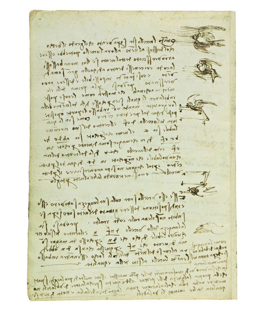 Codex a madarak repüléséről, Folio 8 verso alkotó: Leonardo da Vinci