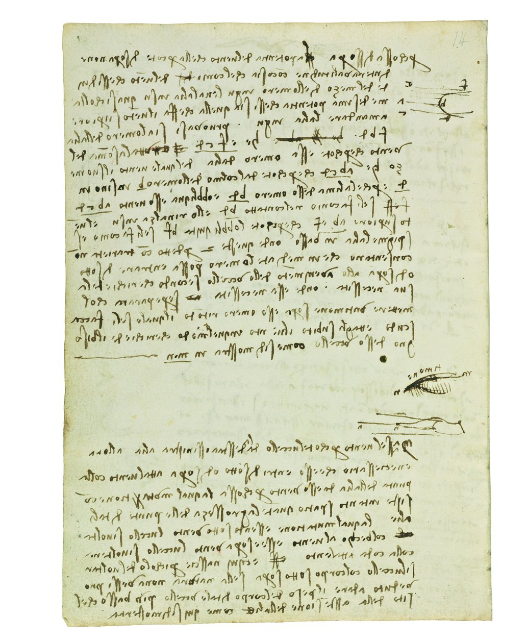 Codex a madarak repüléséről, Folio 9 verso alkotó: Leonardo da Vinci