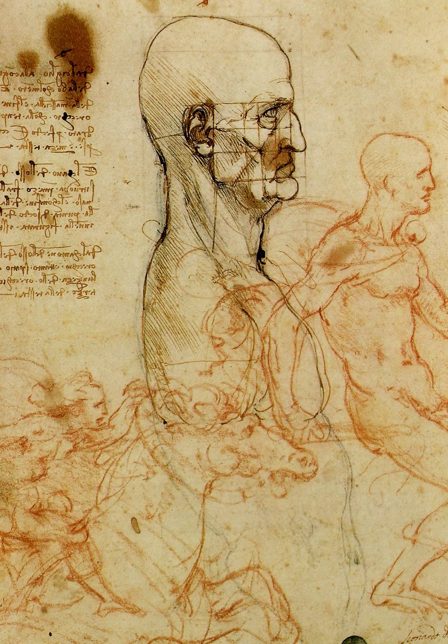 Férfi fejvizsgálat alkotó: Leonardo da Vinci