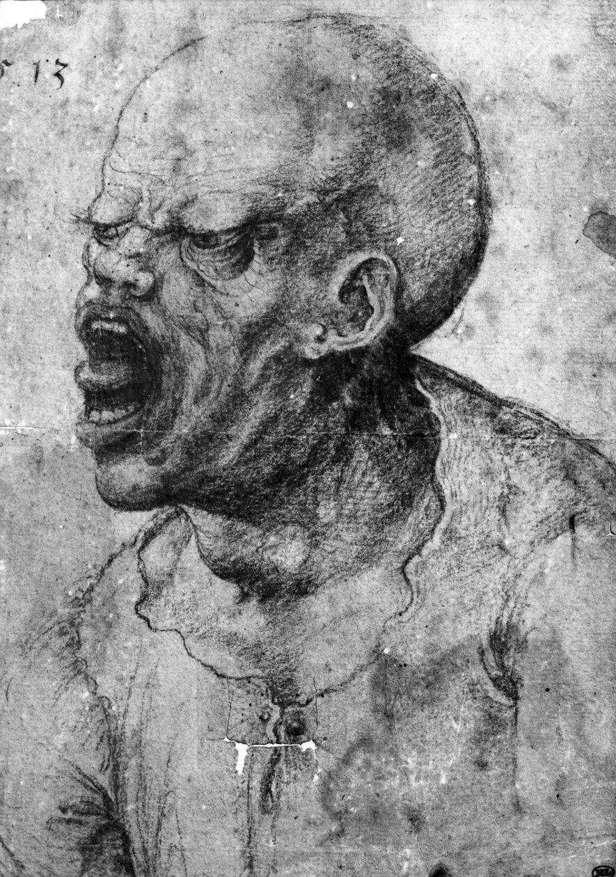 Portré egy kiabáló férfiról (szén, papír) alkotó: Leonardo da Vinci