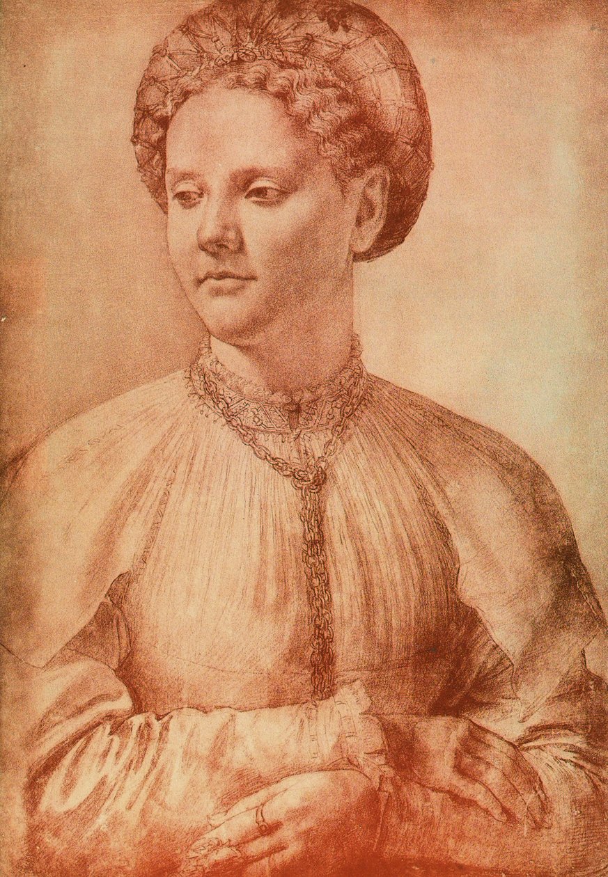Nemesasszony portréja, Leonardo da Vinci rajza. Rajzok és nyomatok kabinetje, Uffizi Galéria, Firenze alkotó: Leonardo da Vinci