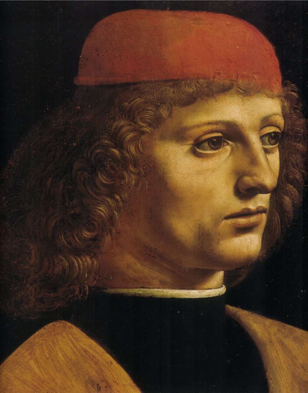 Egy zenész portréja alkotó: Leonardo da Vinci