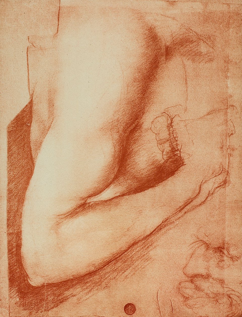 Egy kar tanulmányozása, Leonardo da Vinci rajza. Gallerie dell