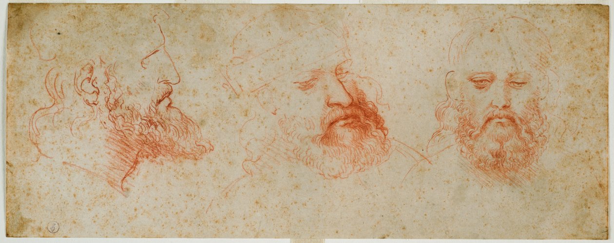 Szakállas férfifej három nézete, 1502 körül (vér, papír) alkotó: Leonardo da Vinci