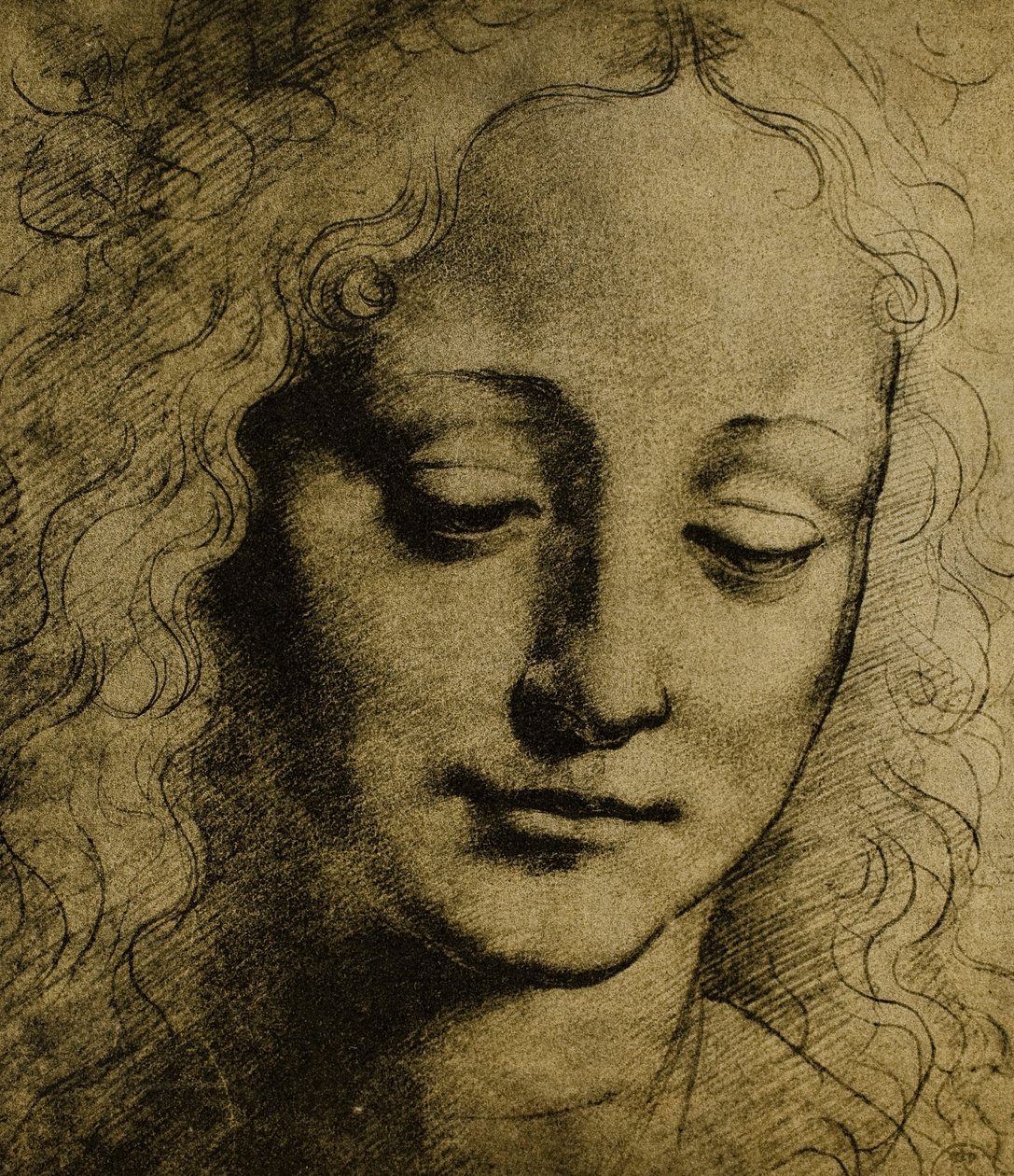 Ifjúsági fej; Leonardo da Vinci rajza. Rajzok és nyomatok kabinetje, Uffizi Galéria, Firenze alkotó: Leonardo da Vinci