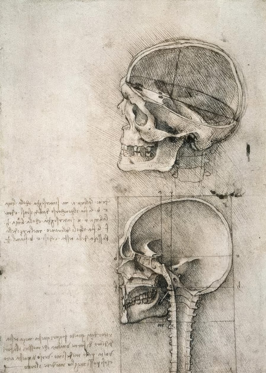 józan ész alkotó: Leonardo da Vinci