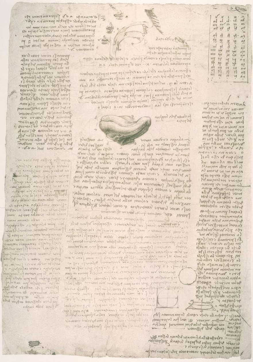 Anatomiestudien alkotó: Leonardo da Vinci