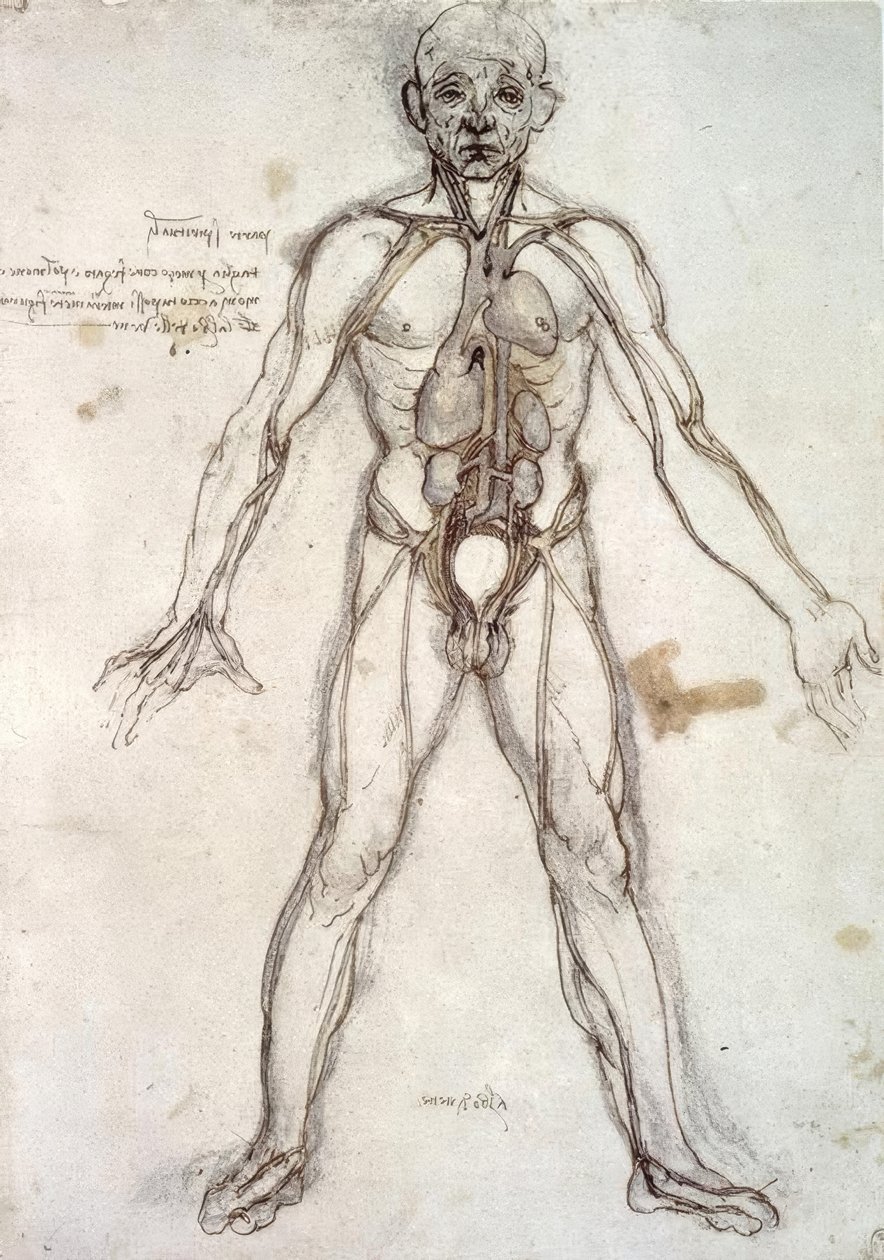 Hajók fája alkotó: Leonardo da Vinci