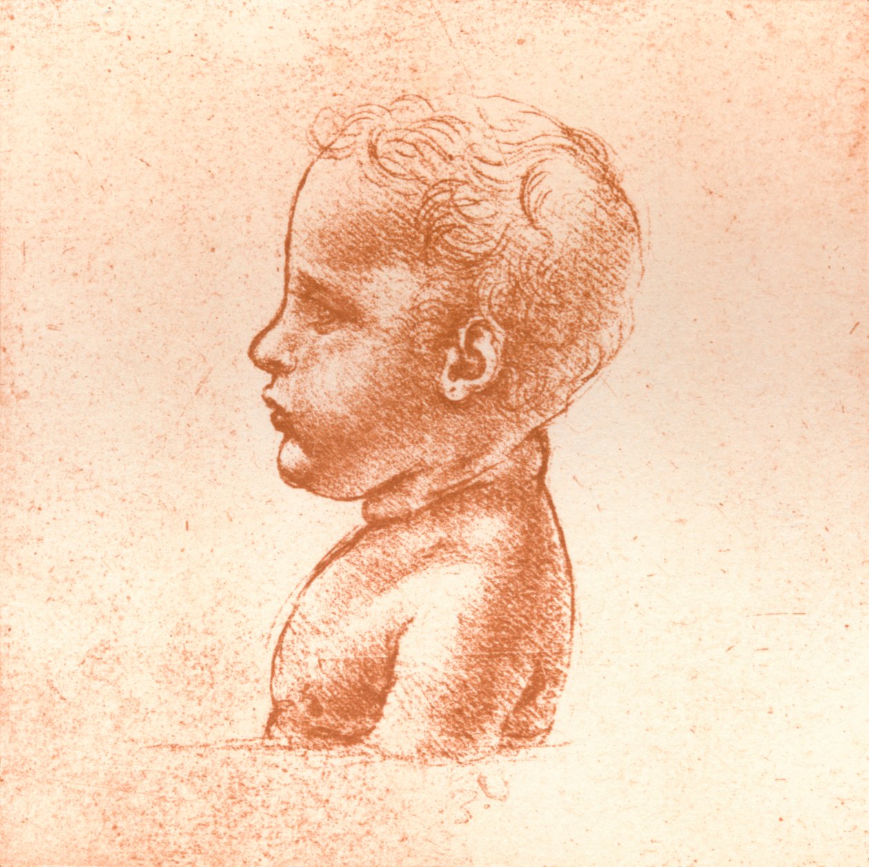 Egy fiú mellszobra, c1472-c1519 1883 alkotó: Leonardo da Vinci