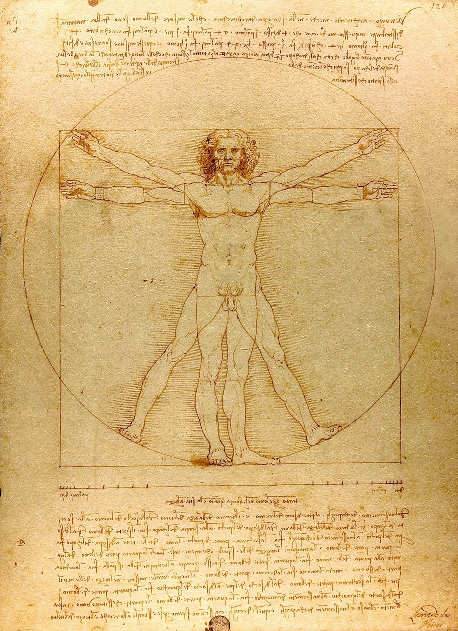 Da Vinci Vitruve Luc Viatour (vágott) alkotó: Leonardo da Vinci