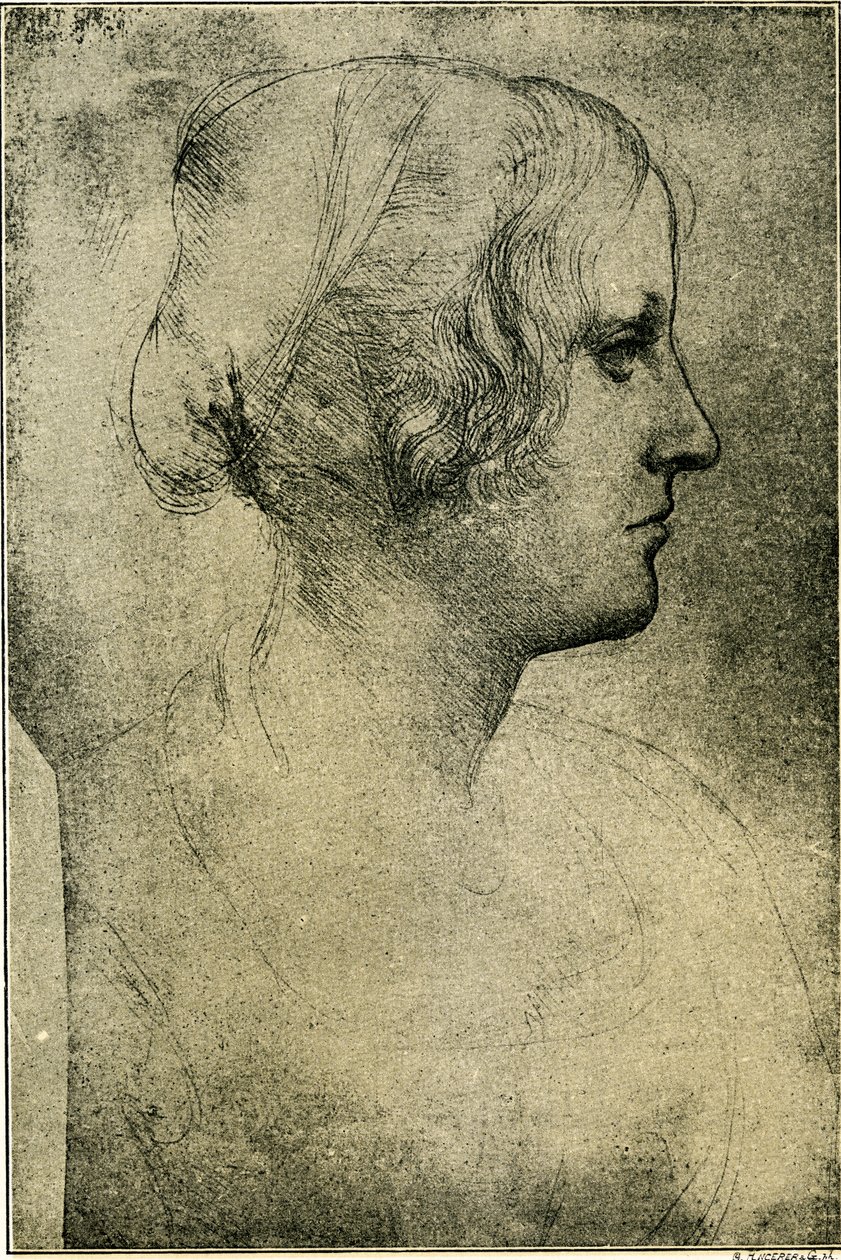 Női profilú fej alkotó: Leonardo da Vinci