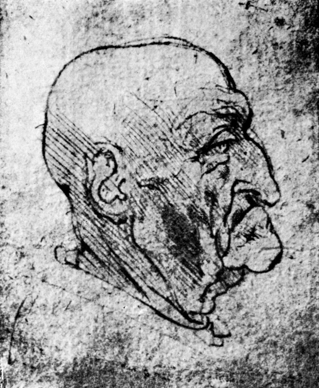 Egy öregember feje, 1913 alkotó: Leonardo da Vinci