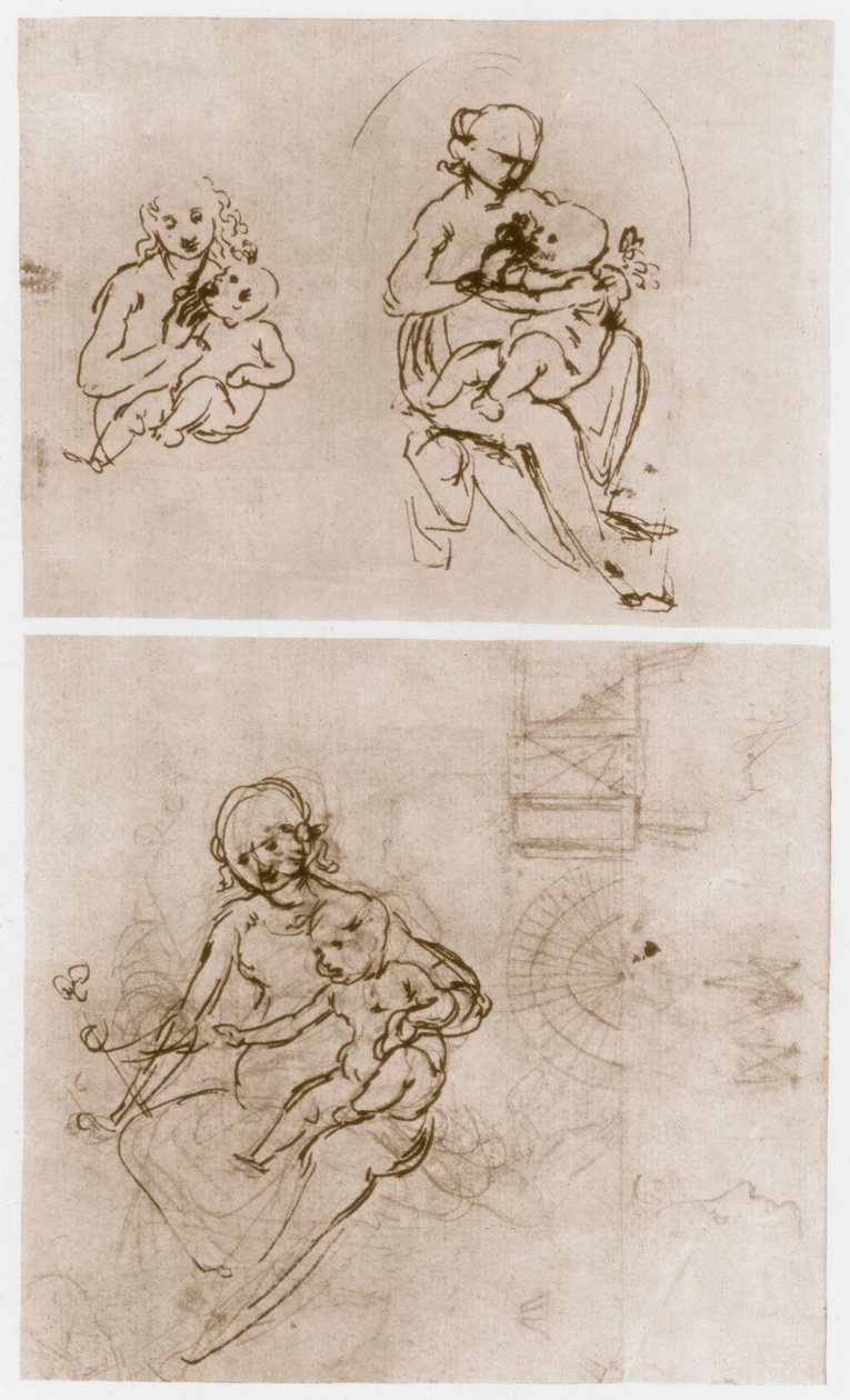 Madonna virággal, c1478. alkotó: Leonardo da Vinci