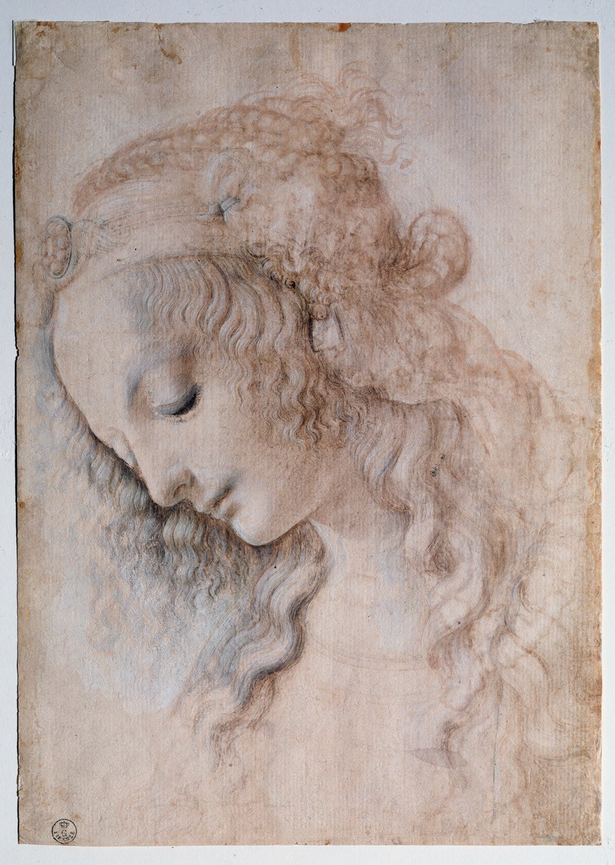 Lány portréja - rajz alkotó: Leonardo da Vinci