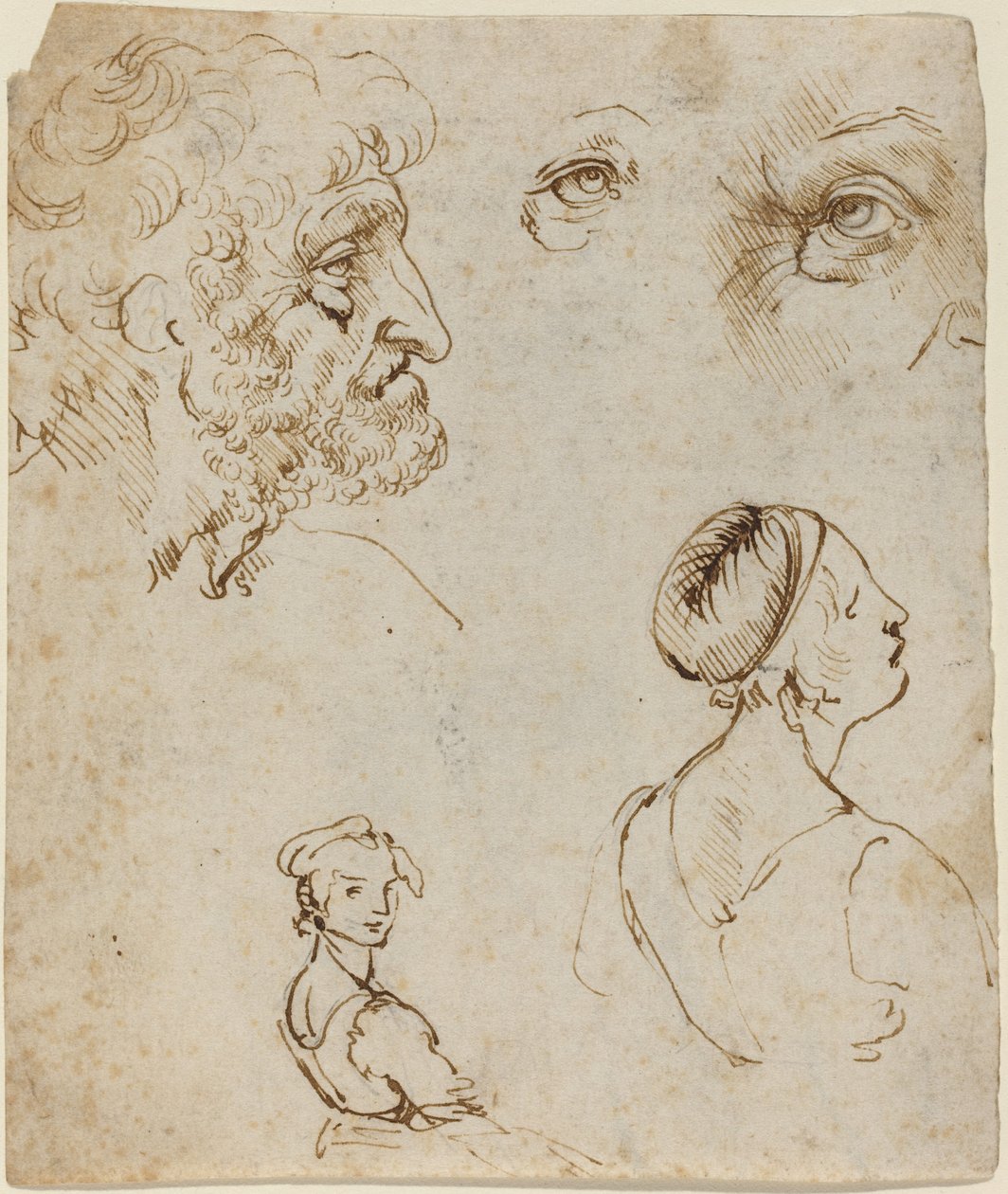 Tanulmányi lap [recto] alkotó: Leonardo da Vinci