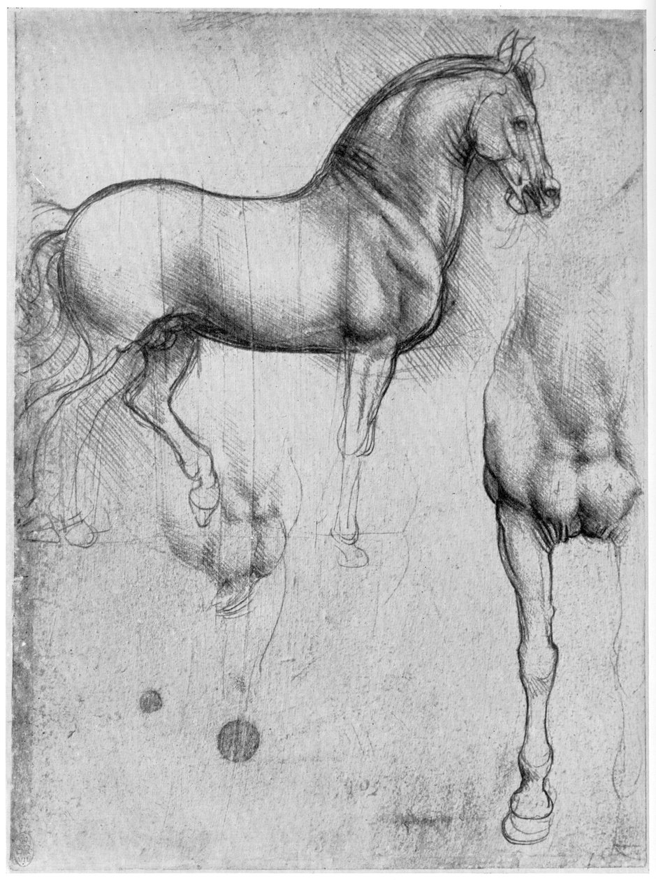 Studies of Horses, c1490, 1954 alkotó: Leonardo da Vinci