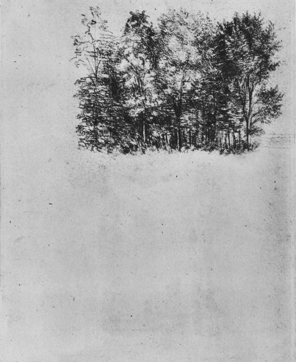 Study of a Coppice, c1480, 1945 alkotó: Leonardo da Vinci