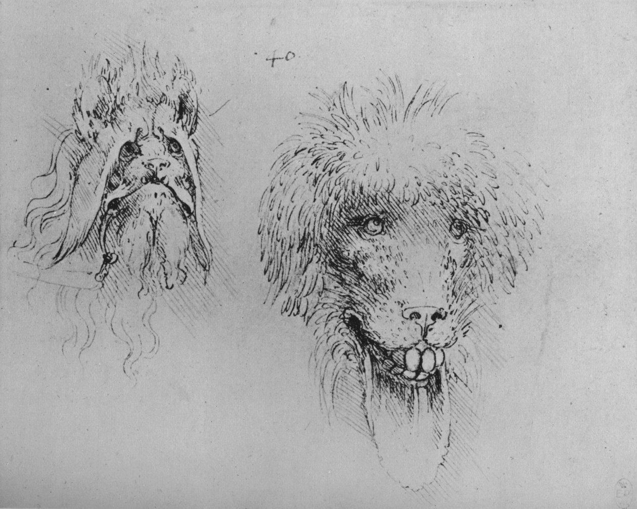 Szörnyek két feje, c1480, 1945 alkotó: Leonardo da Vinci