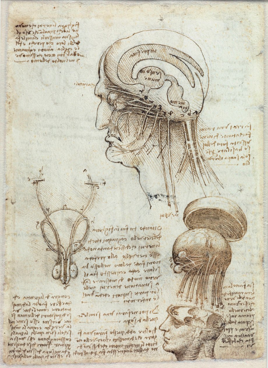 Ismeretlen kép alkotó: Leonardo da Vinci