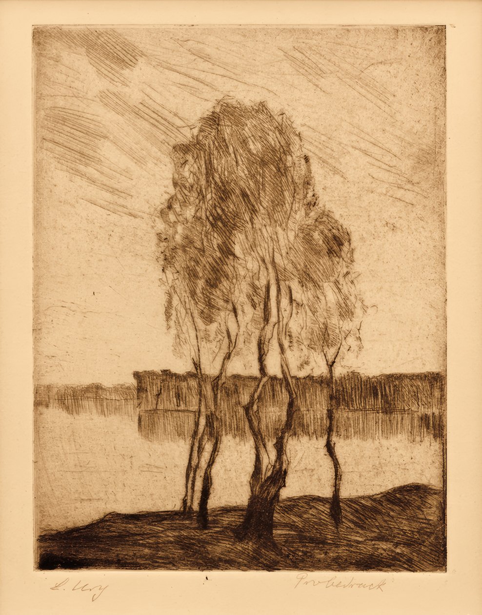 Három nyírfa a tavon, a brandenburgi régióban alkotó: Lesser Ury