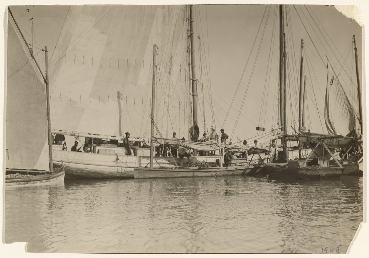 [Osztrigás csónakok, Mobile Bay, Alabama] alkotó: Lewis W. Hine
