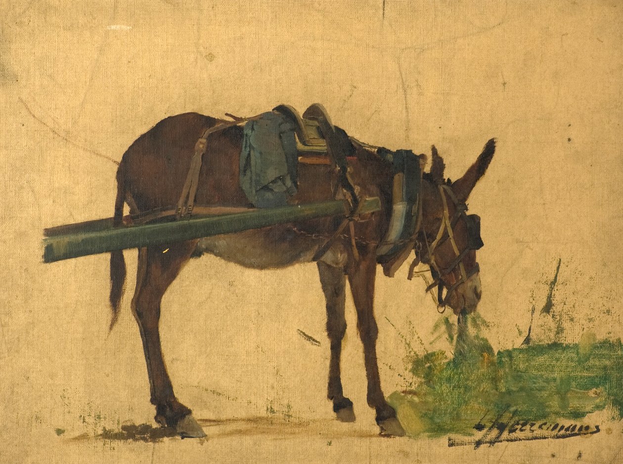 Egy öszvér tanulmányozása (olaj, vászon) alkotó: Lievan Herremans