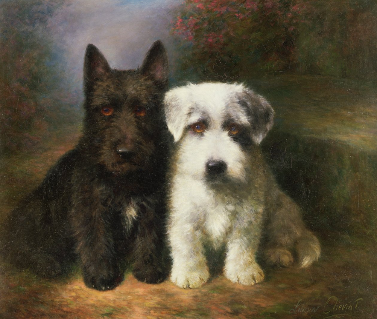 Egy skót és egy Sealyham terrier alkotó: Lilian Cheviot