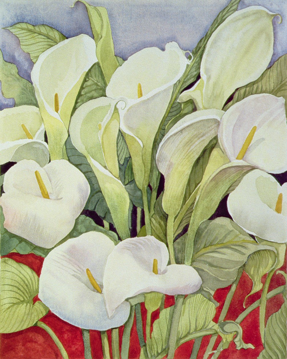 Arum Lillies, 1978 alkotó: Lillian Delevoryas