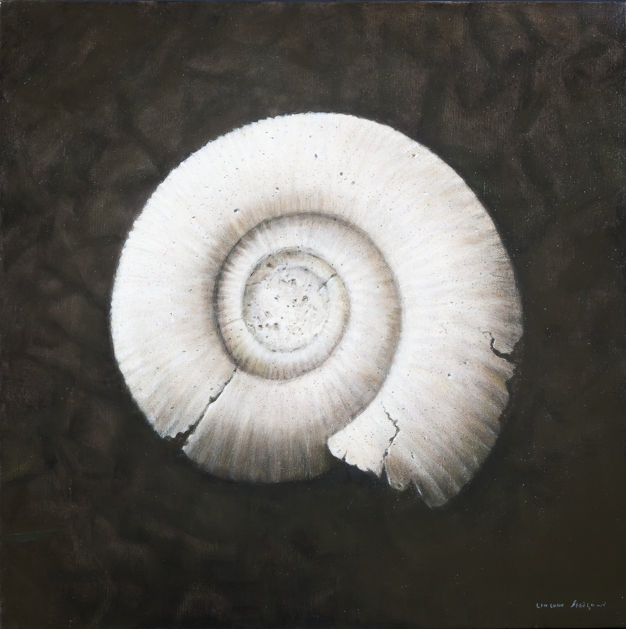 Amononit, 2012 (akril, vászon) alkotó: Lincoln Seligman
