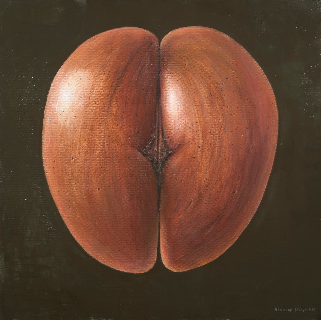 Coco de Mer, Maldív-szigetek, 2012 (akril, vászon) alkotó: Lincoln Seligman