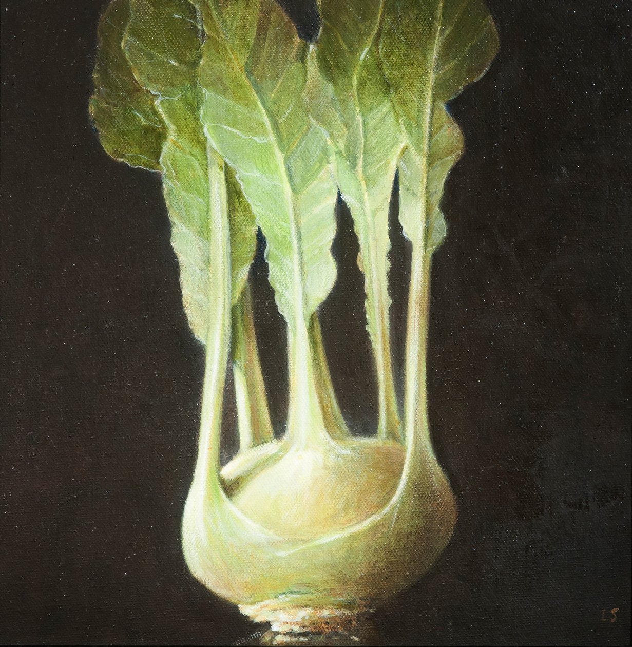 Kohl Rabi, 2012 (akril, vászon) alkotó: Lincoln Seligman