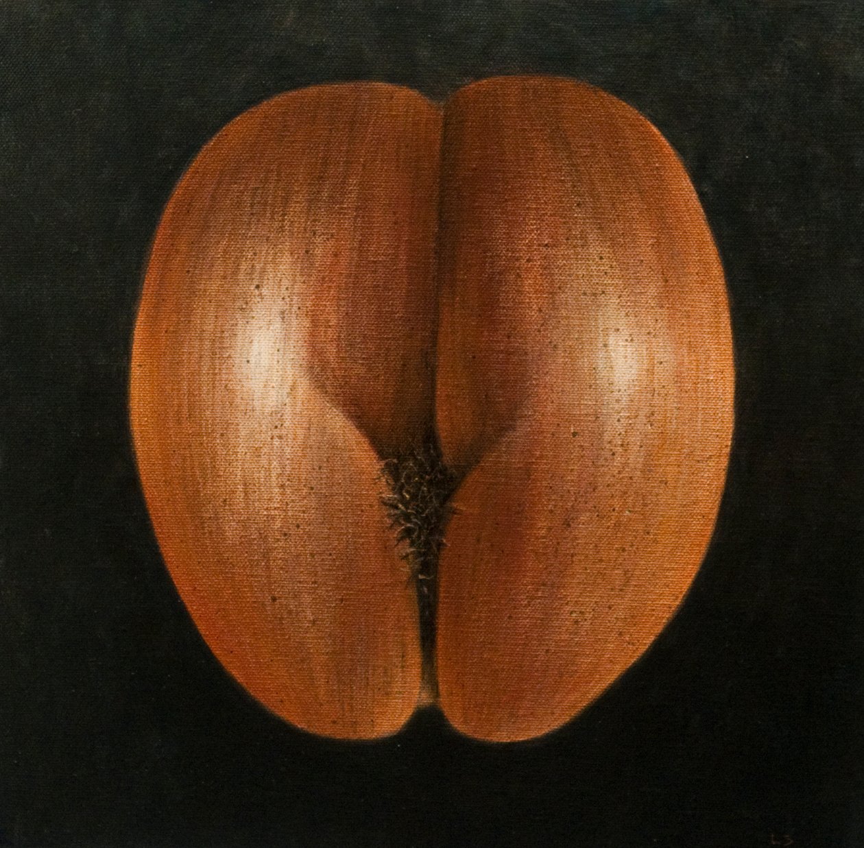 Coco de Mer, 2010 (akril, vászon) alkotó: Lincoln Seligman