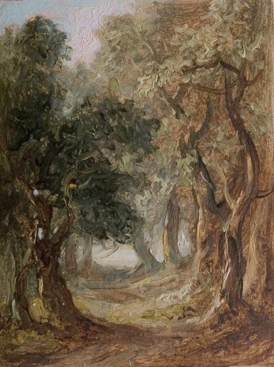 Grove [kelletlen]. alkotó: Lines Family