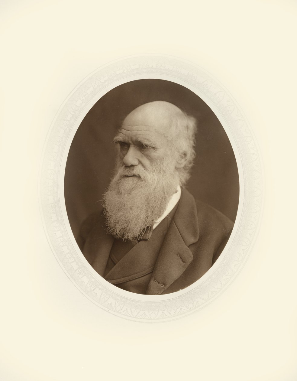 Charles Robert Darwin alkotó: Lock and Whitfield