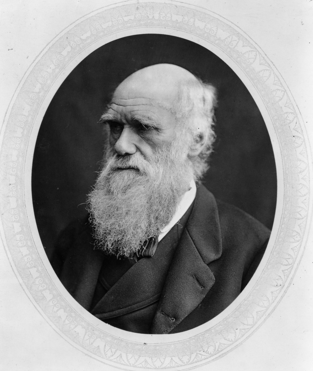 Charles Robert Darwin alkotó: Lock and Whitfield