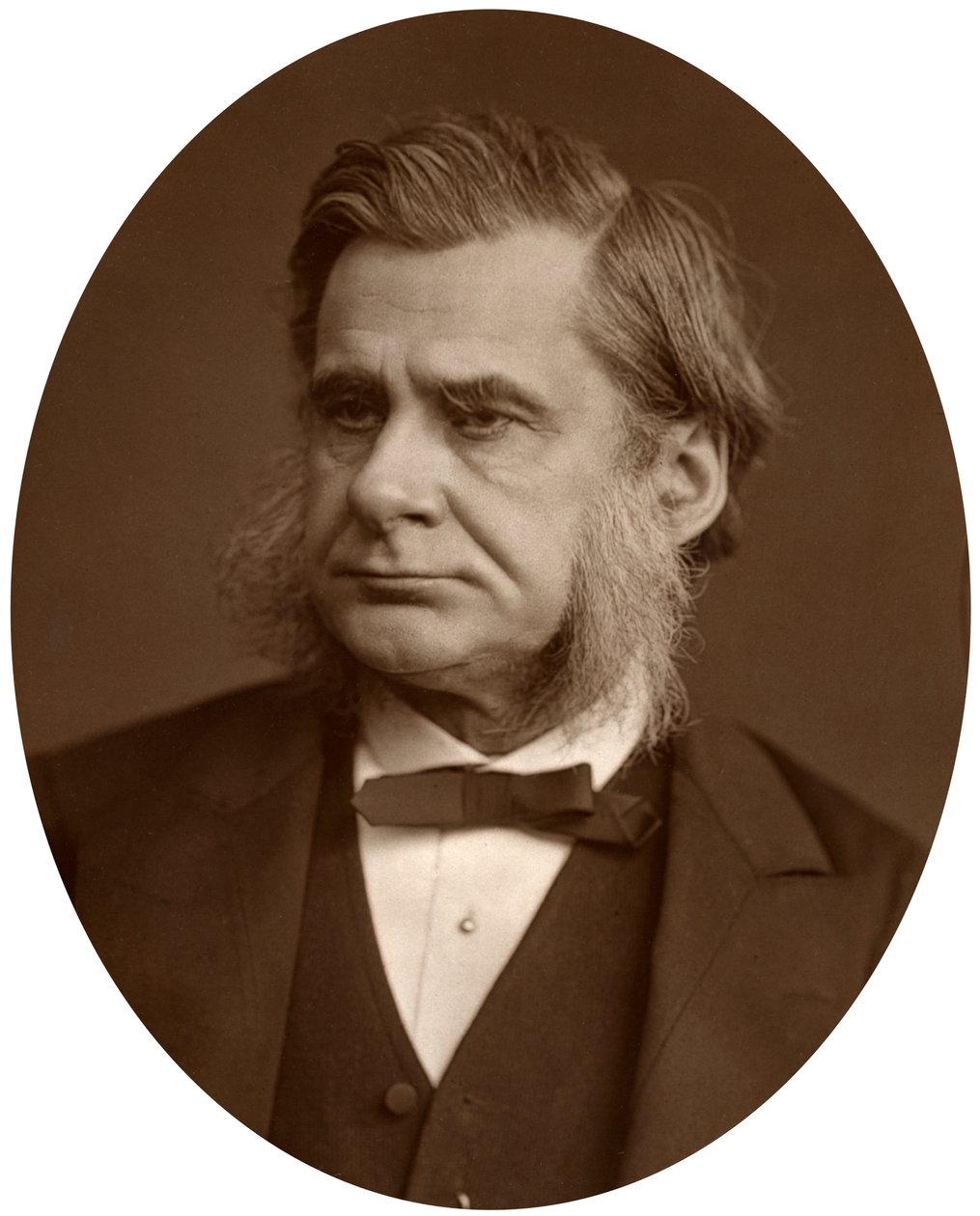 Thomas Henry Huxley professzor, 1880. alkotó: Lock and Whitfield